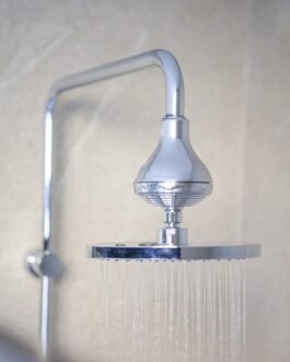ShowerPro shower filter for nigeria